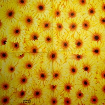 057 Daisies - 3-ply - Robert Charles